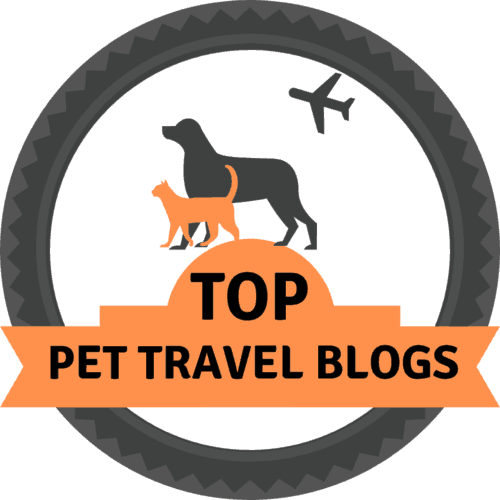 Top Pet Travel Blogs